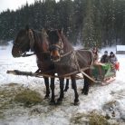 Aventura calare in inima Transilvaniei 