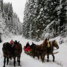 Aventura calare in inima Transilvaniei 