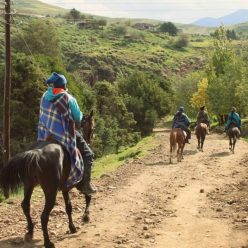 Stresat de oras? Hai in sa! Tura ecvestra de  1 zi